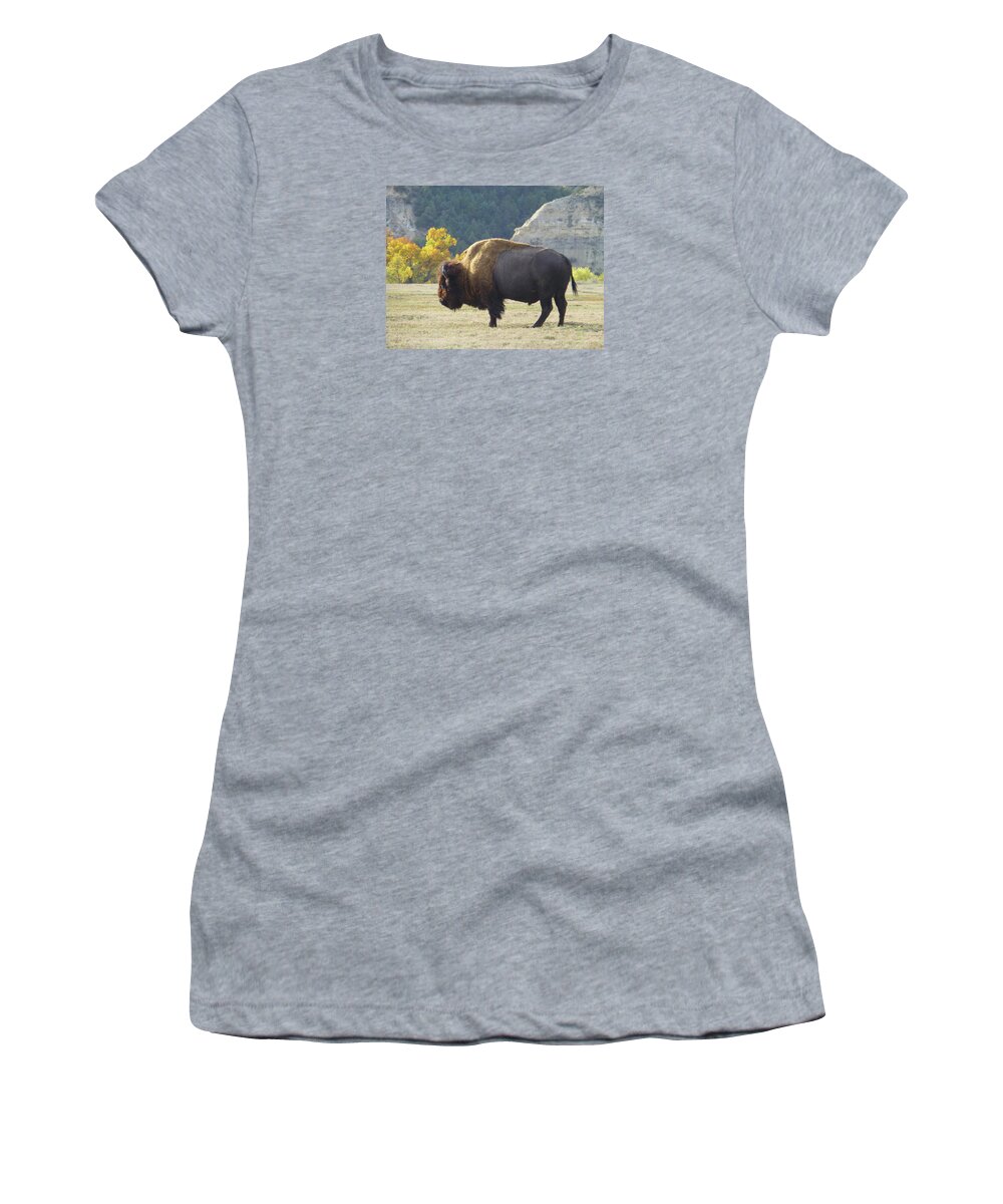 Buffalo Women's T-Shirt featuring the photograph Dakota Badlands Majesty by Cris Fulton