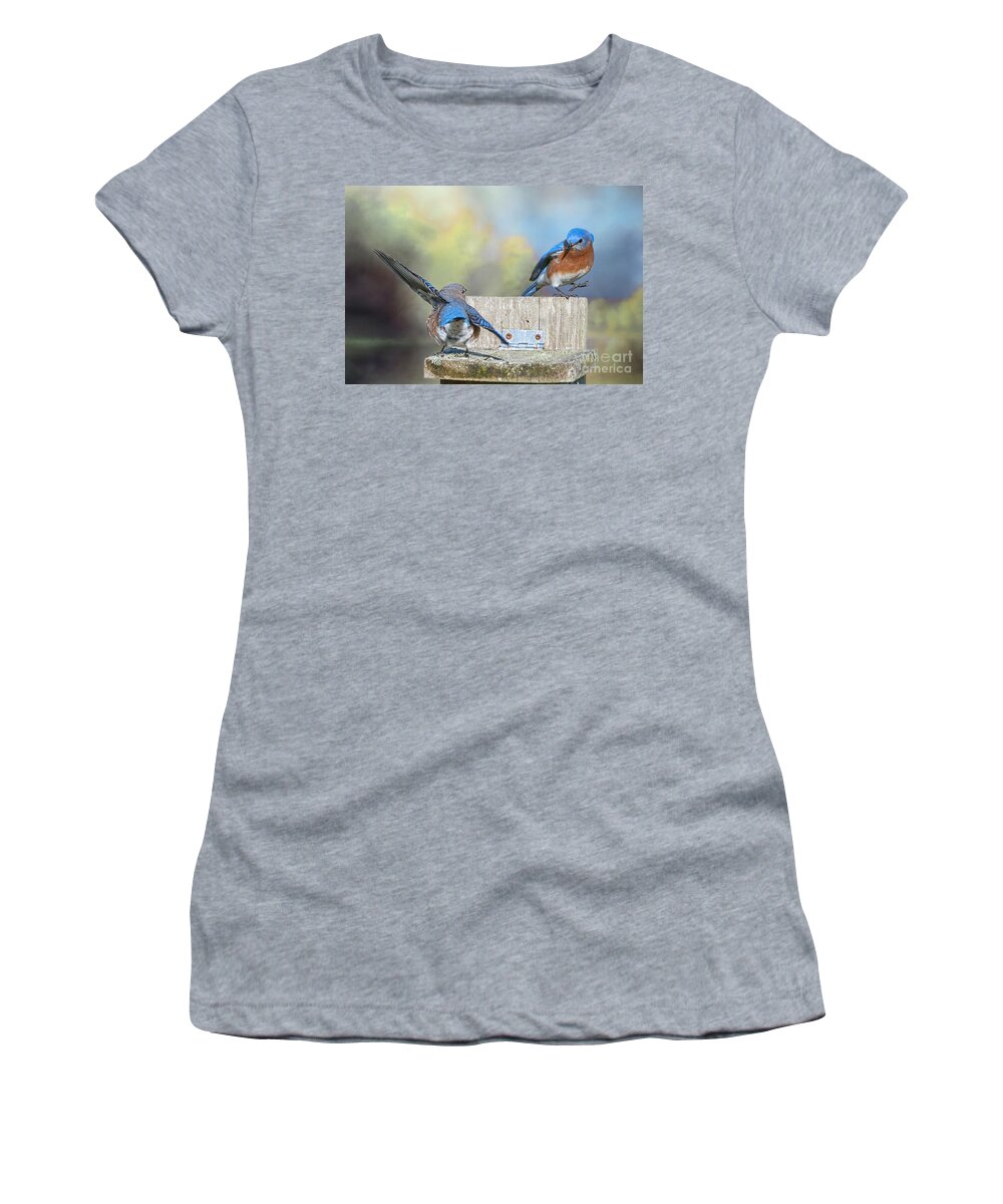 Bluebirds Women's T-Shirt featuring the photograph Dancing Bluebirds by Bonnie Barry