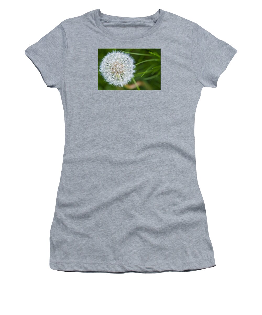 Dandelion Women's T-Shirt featuring the photograph Dandelion in the grass by Matt McDonald