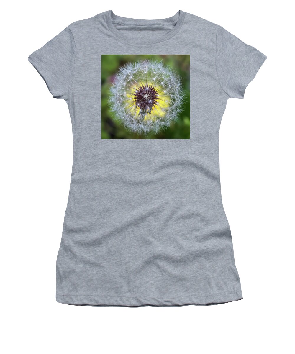 Terry D Photography Women's T-Shirt featuring the photograph Dandelion Square by Terry DeLuco