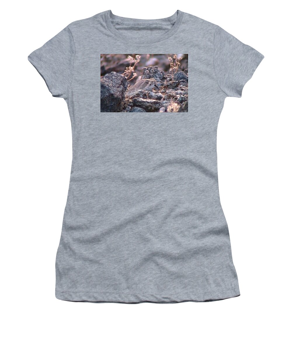  Rattlers Women's T-Shirt featuring the photograph Dangerous Peekaboo by Judy Kennedy