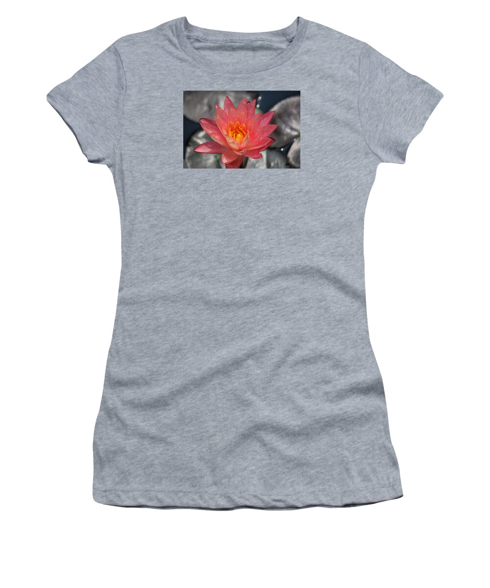 Women's T-Shirt featuring the photograph Dappled Lily on Silver Pads by Ron Monsour