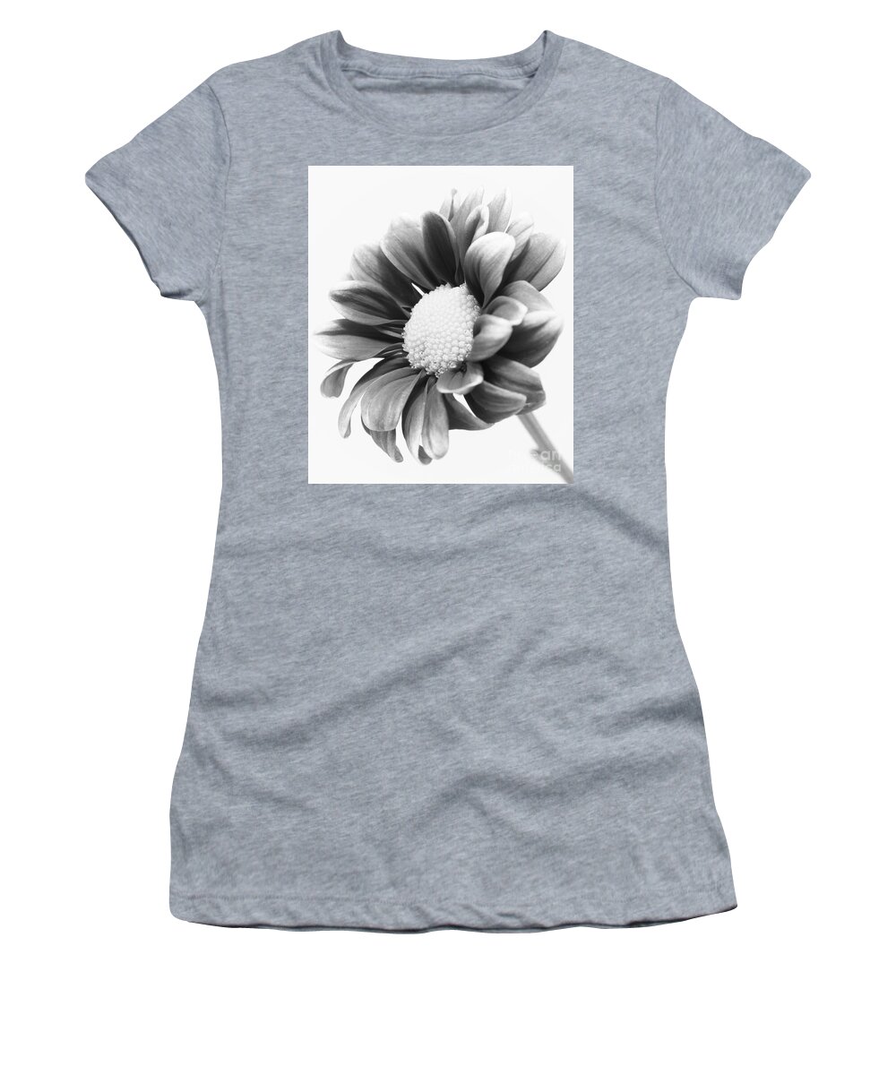 Daisy Women's T-Shirt featuring the photograph Dark Beauty by Anita Oakley