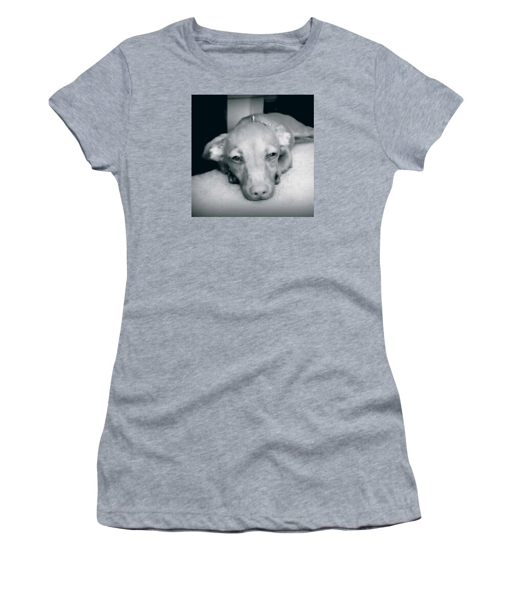 Wiener Dog Women's T-Shirt featuring the photograph Day Dreaming Doxie by Leah McPhail