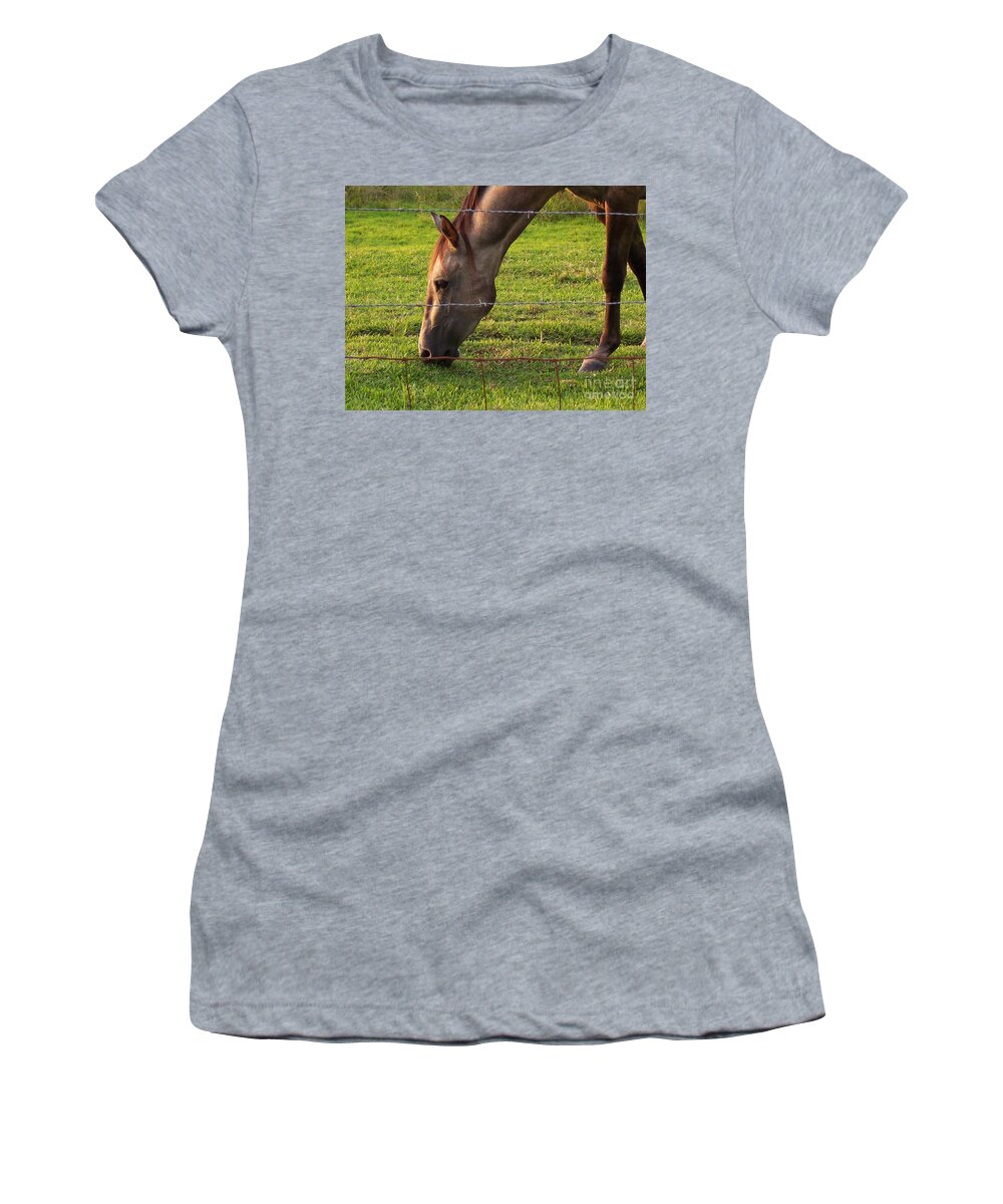 Horse Women's T-Shirt featuring the photograph Daydreaming by Brandy Woods