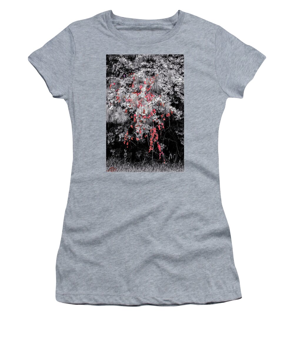 Nature Women's T-Shirt featuring the photograph Dead but not gone 2.0 by Bradley Dever