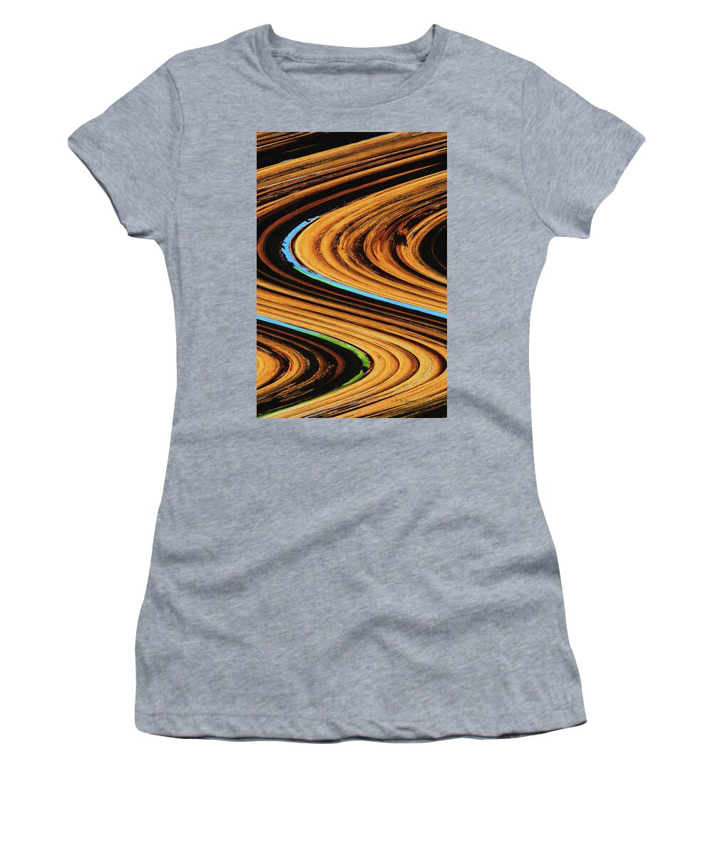 Dead Saguaro Abstract Women's T-Shirt featuring the photograph Dead Saguaro Abstract by Tom Janca