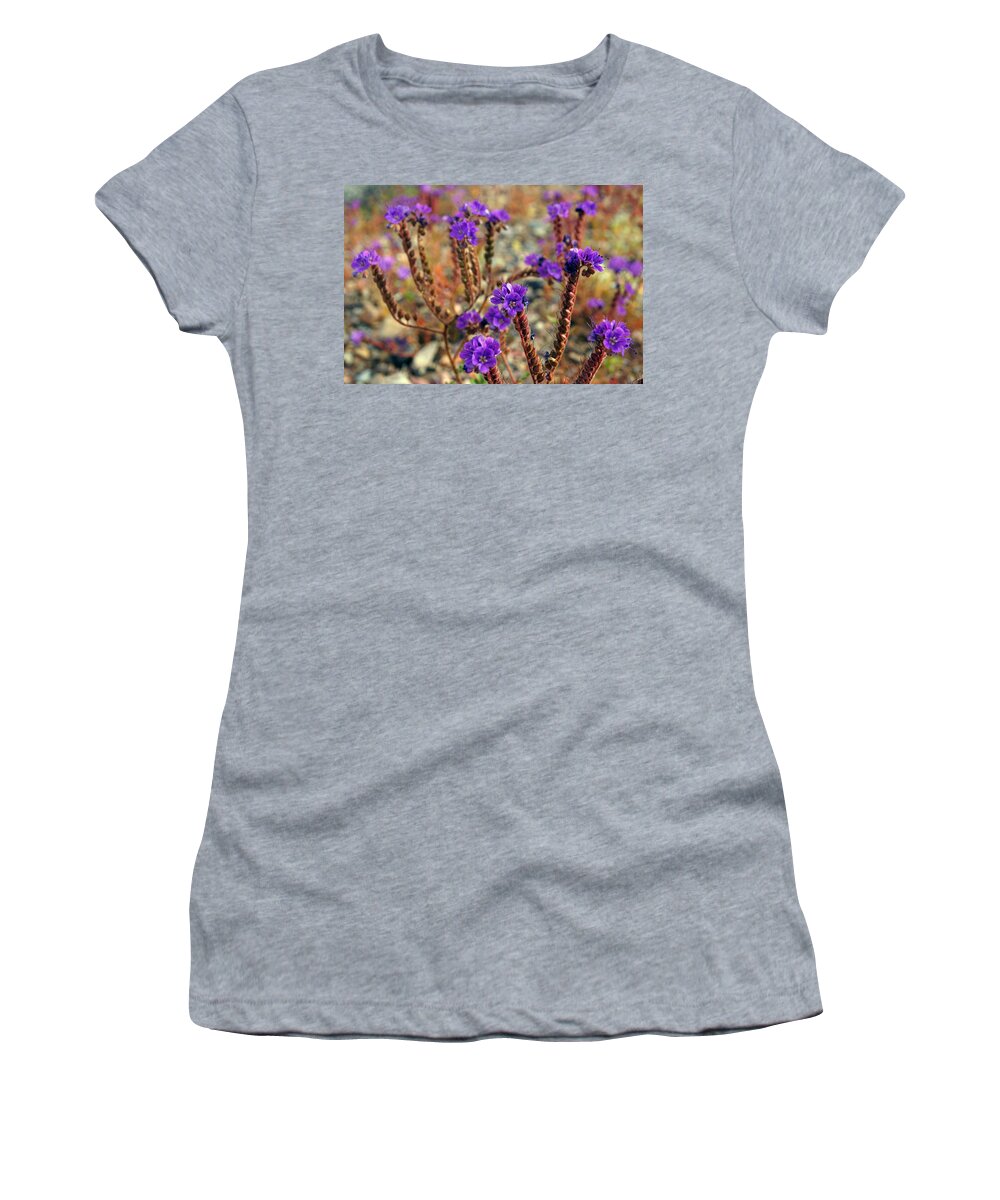 Superbloom 2016 Women's T-Shirt featuring the photograph Death Valley Superbloom 106 by Daniel Woodrum