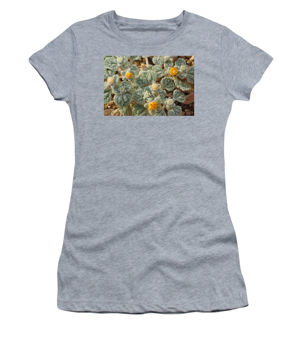 Superbloom 2016 Women's T-Shirt featuring the photograph Death Valley Superbloom 302 by Daniel Woodrum