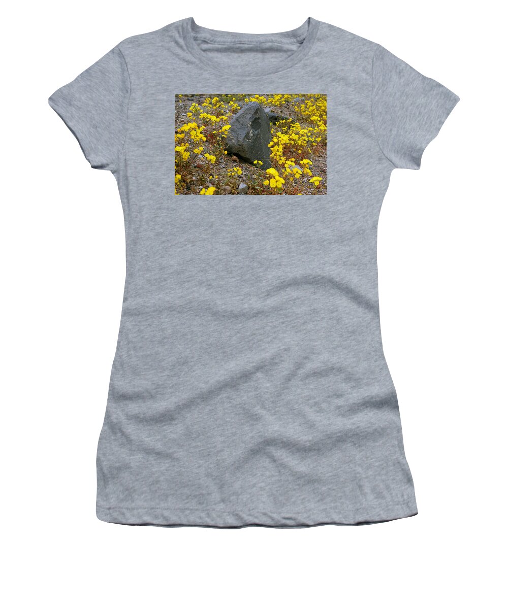 Superbloom 2016 Women's T-Shirt featuring the photograph Death Valley Superbloom 406 by Daniel Woodrum