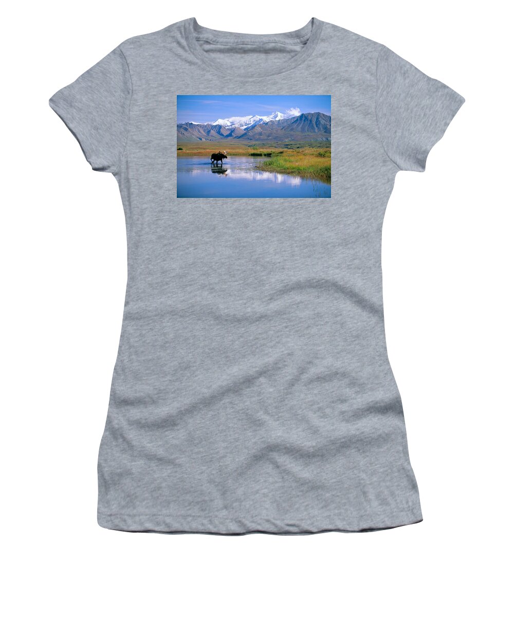 Animal Art Women's T-Shirt featuring the photograph Denali National Park by John Hyde - Printscapes