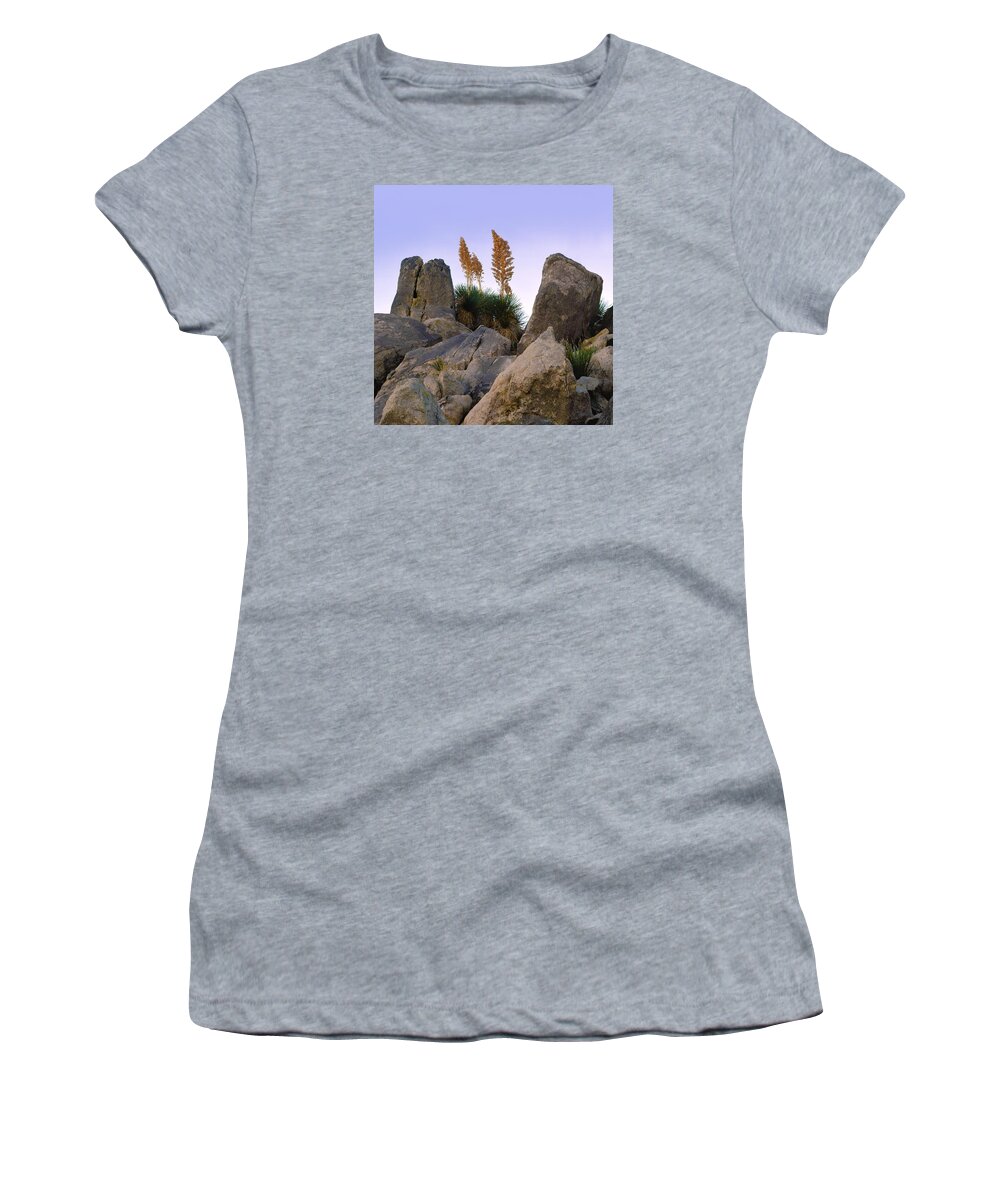 Landscape Women's T-Shirt featuring the photograph Desert Flags - Cropped Version by Paul Breitkreuz