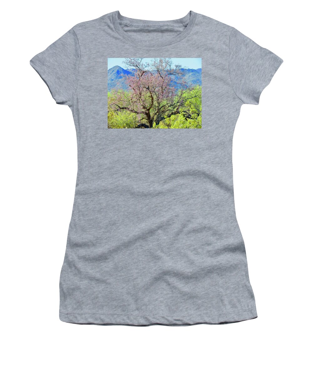 Arizona Women's T-Shirt featuring the photograph Desert Ironwood Beauty by Judy Kennedy