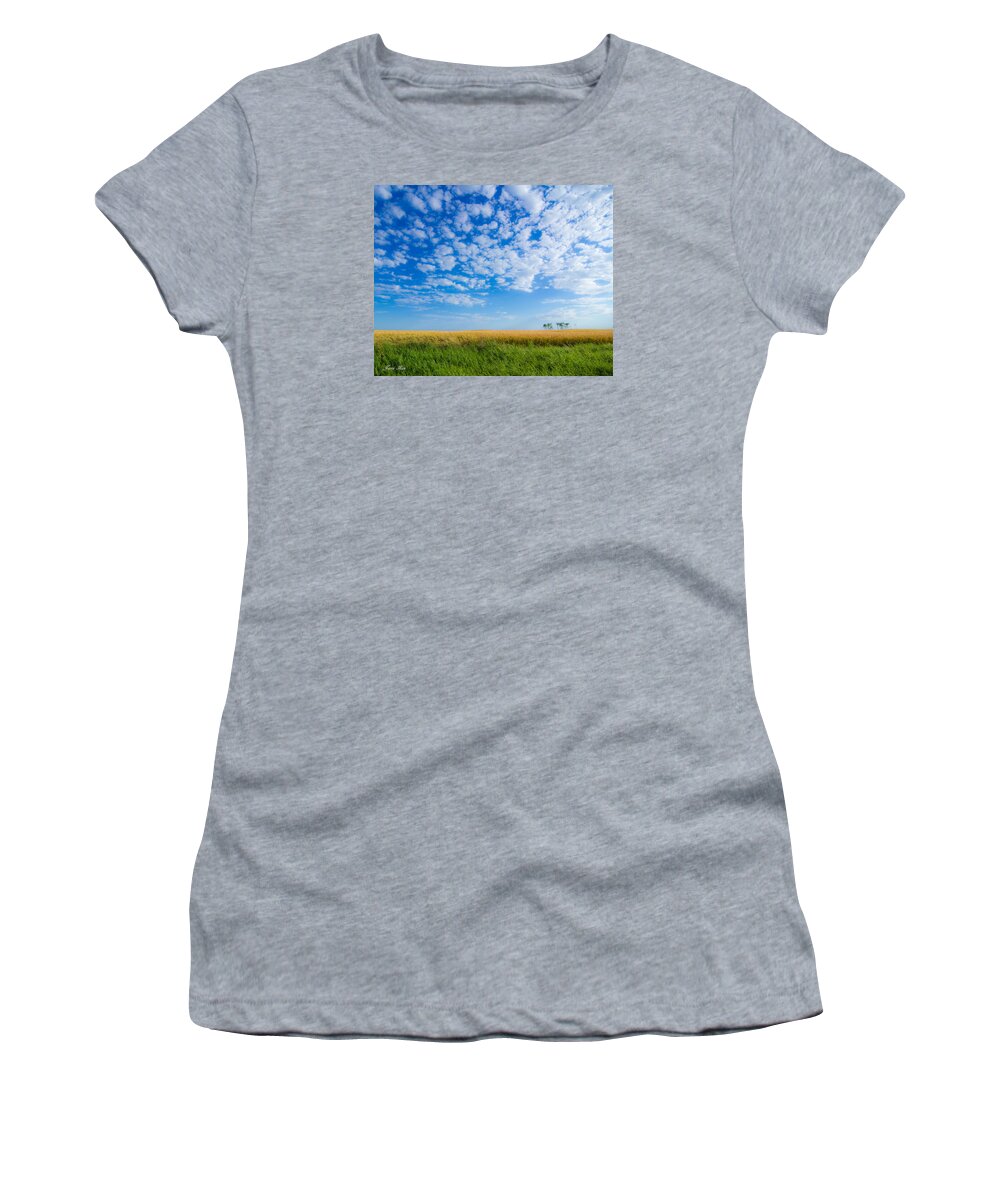 Wheat Crop Women's T-Shirt featuring the photograph Desert Wheat by Jana Rosenkranz