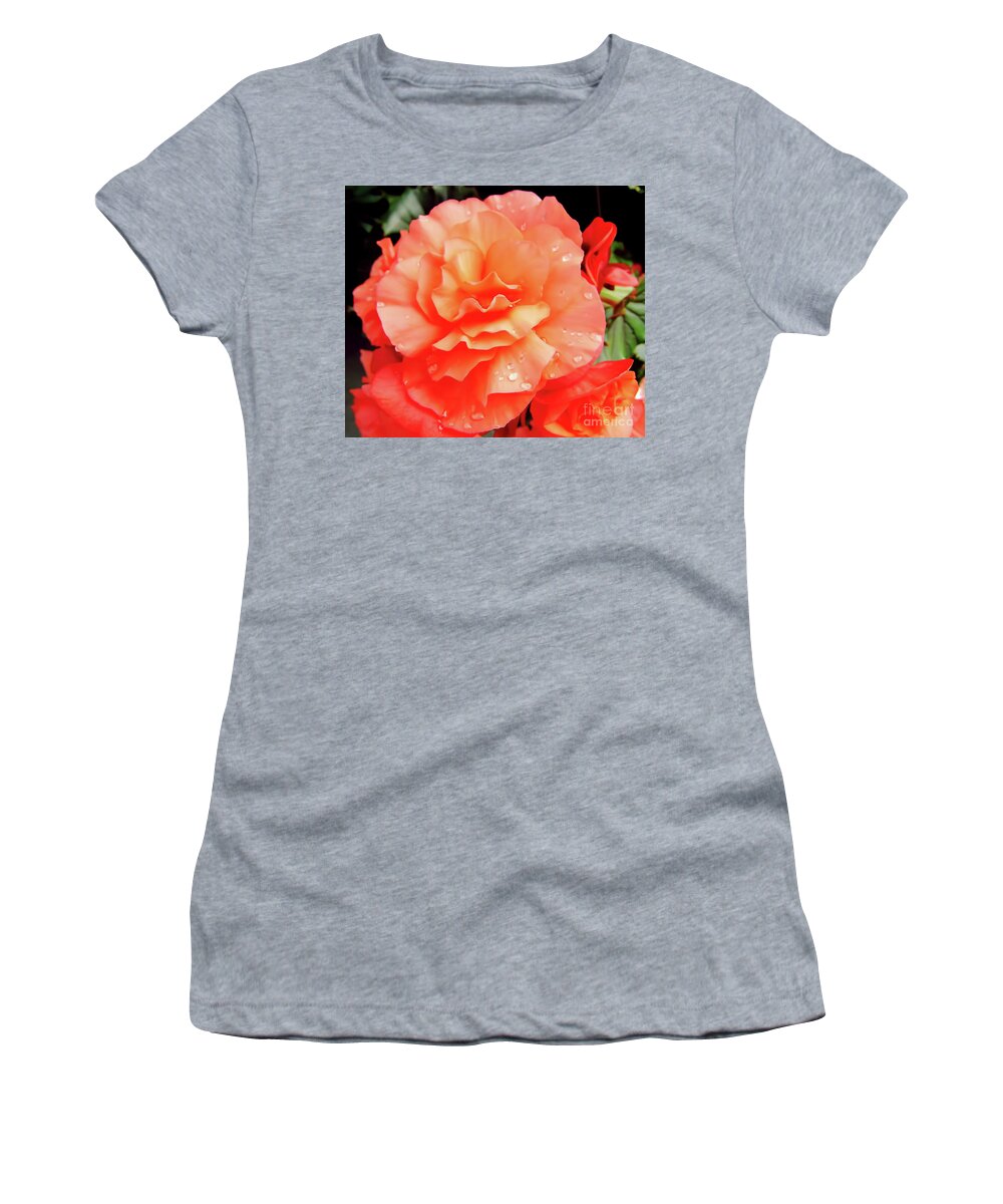 Roses Women's T-Shirt featuring the photograph Dew Kissed by D Hackett