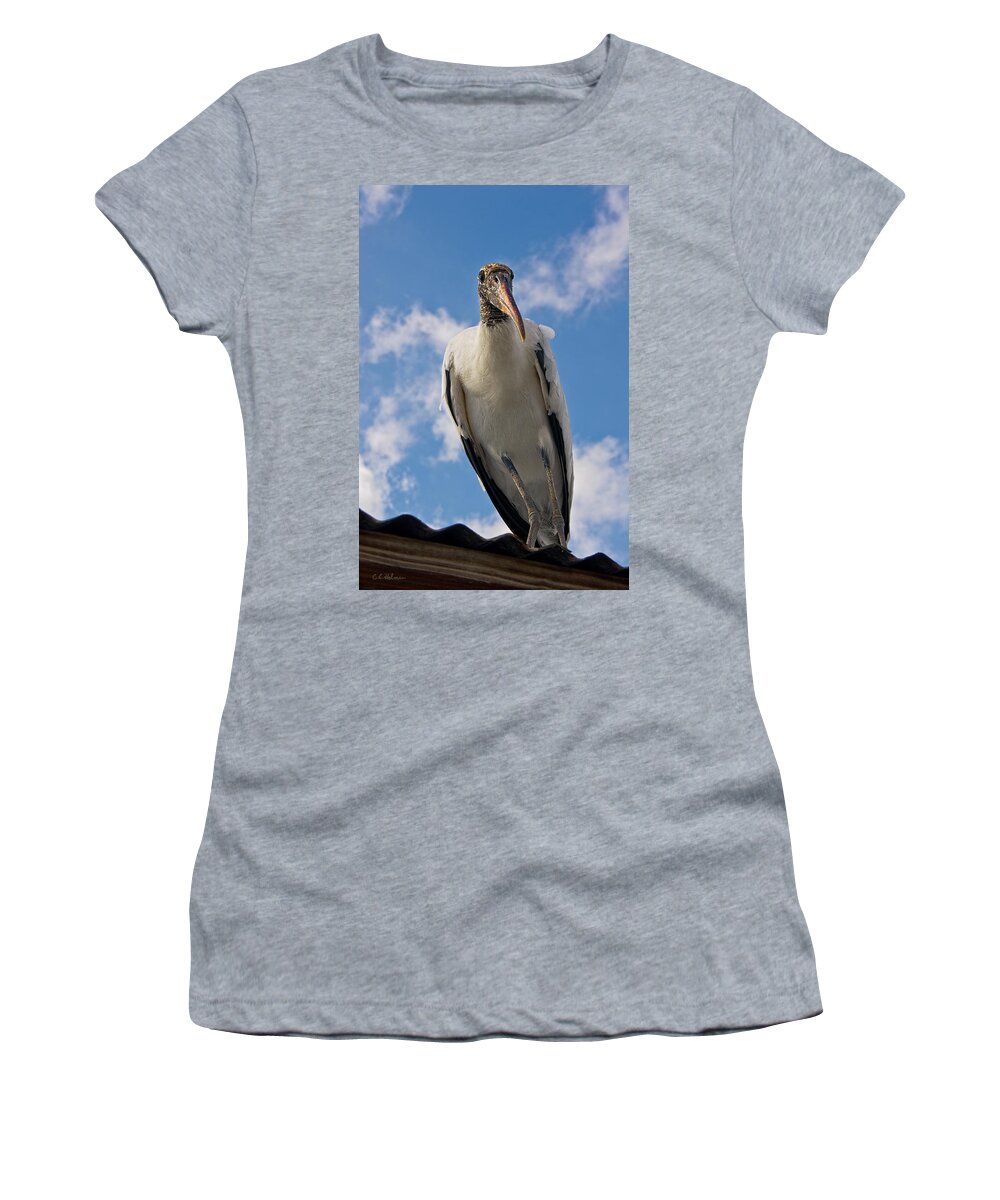 Stork Women's T-Shirt featuring the photograph Do I Know You by Christopher Holmes