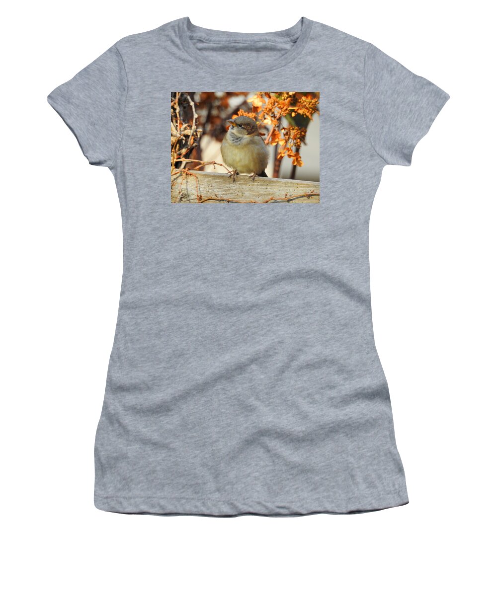 Little Bird Women's T-Shirt featuring the photograph Do You Hear That by Betty-Anne McDonald