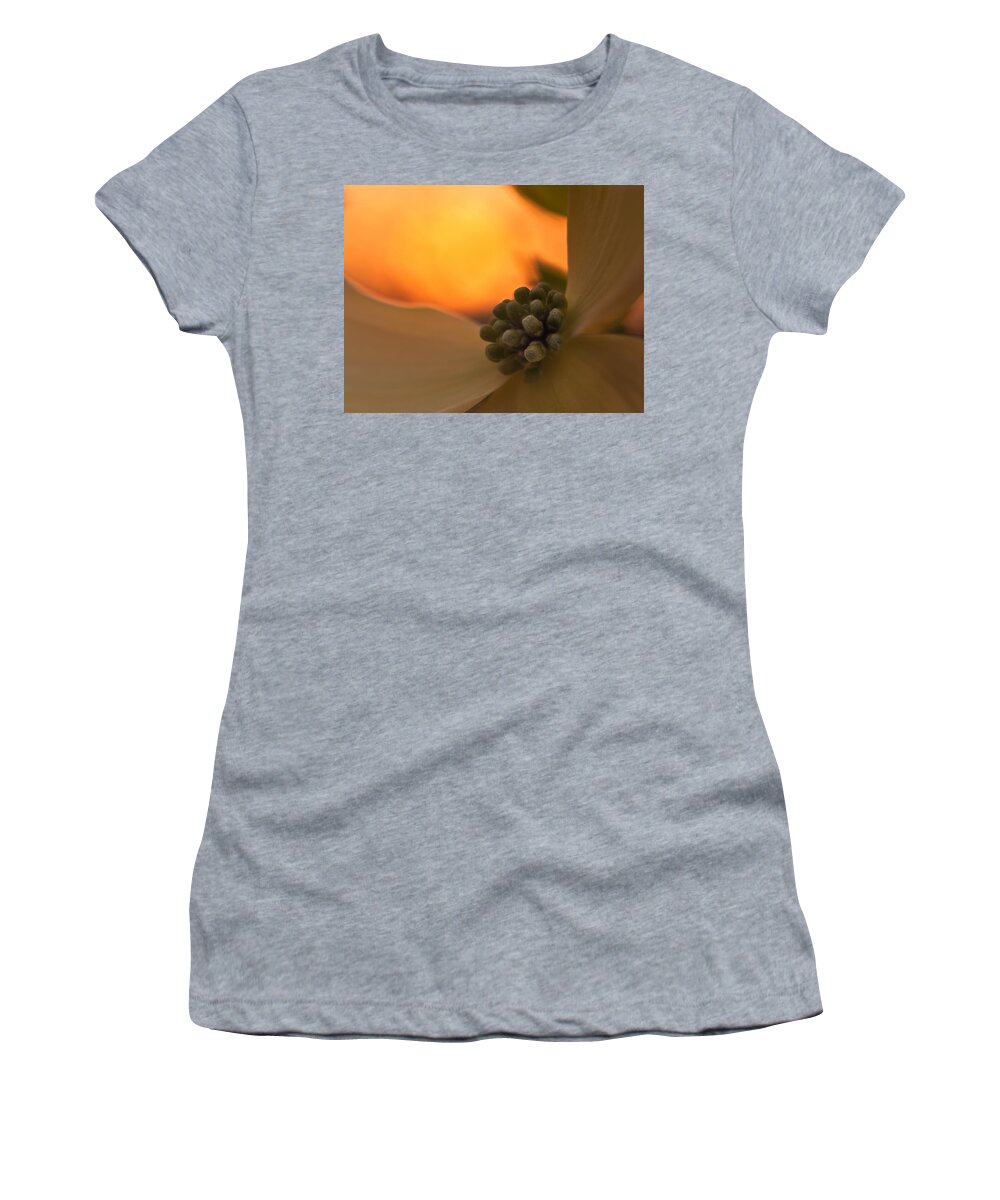 Floralfriday Women's T-Shirt featuring the photograph Dogwood Bloom by Craig Szymanski