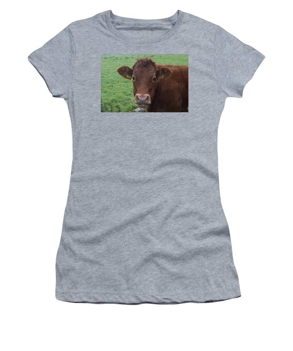Ireland Women's T-Shirt featuring the photograph Doolin Cow by Curtis Krusie