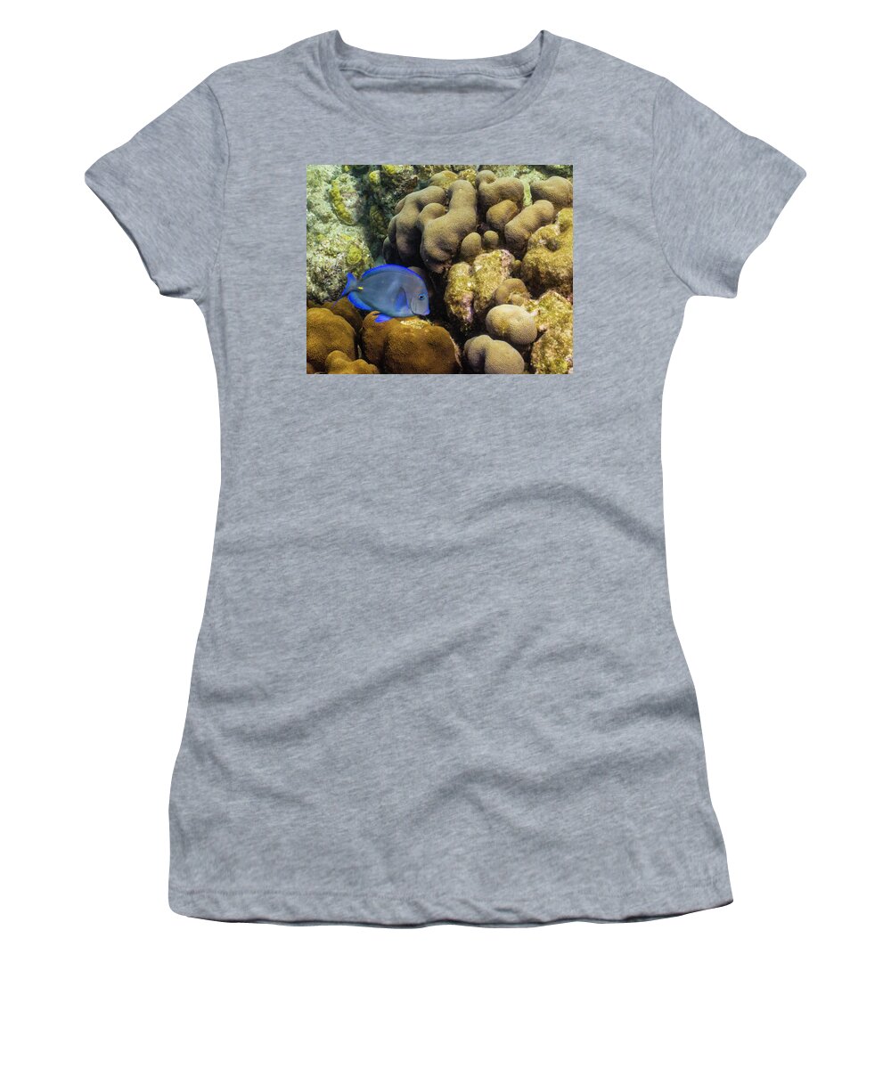 Ocean Women's T-Shirt featuring the photograph Dori's Cousin by Lynne Browne