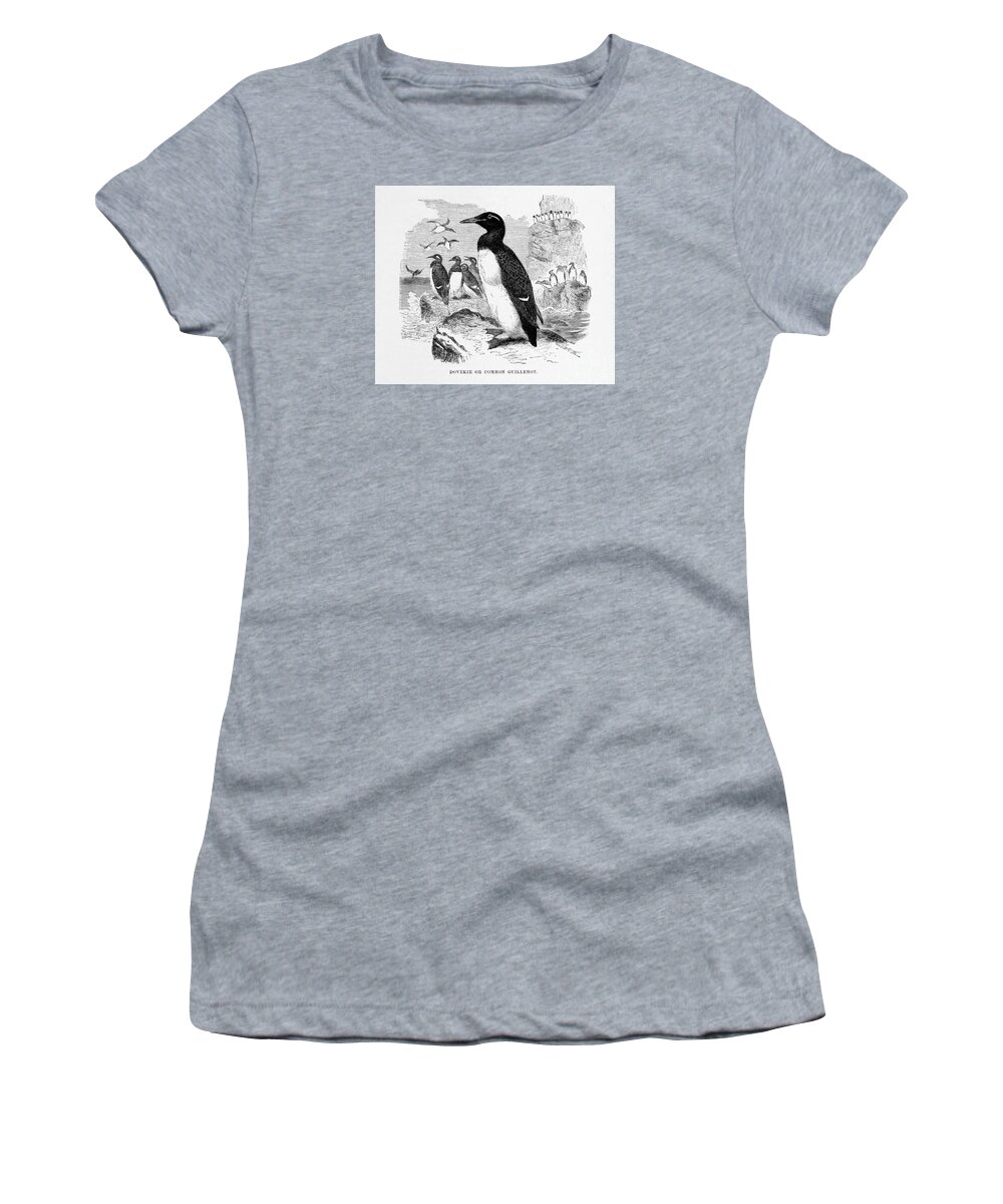 Dovekie Women's T-Shirt featuring the digital art Dovekie or Common Guillemot Restored by Pablo Avanzini