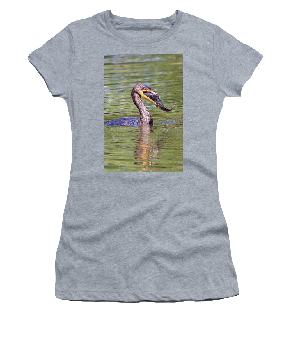 Florida Women's T-Shirt featuring the photograph Down the Hatch by Paul Schultz