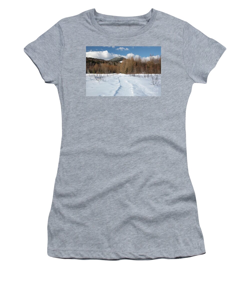Albany Women's T-Shirt featuring the photograph Downes - Oliverian Brook Ski Trail - White Mountains New Hampshire by Erin Paul Donovan