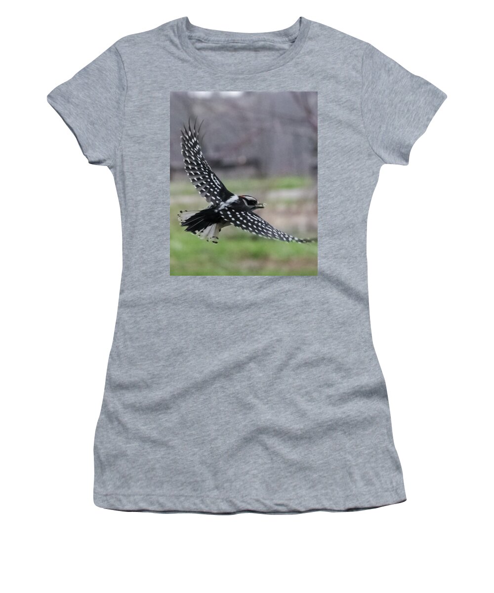 Jan Women's T-Shirt featuring the photograph Downy Woodpecker in Flight by Holden The Moment