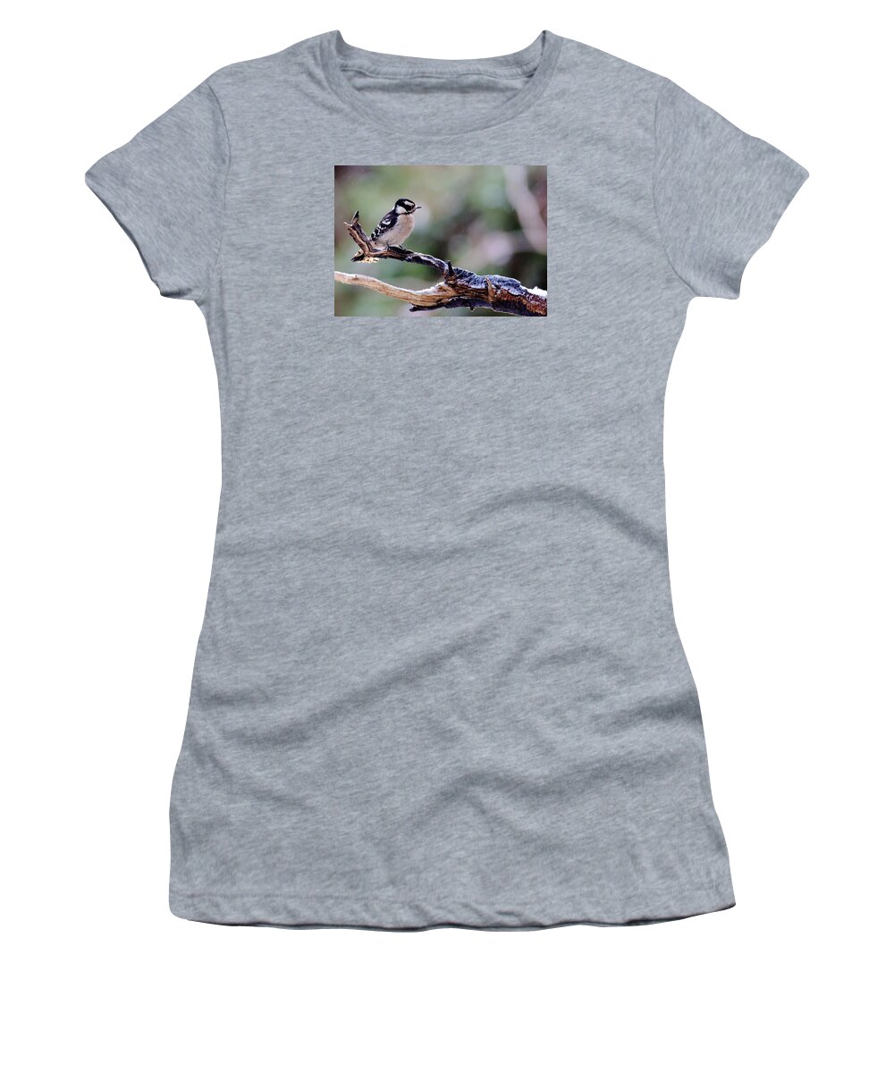 Downy Woodpecker Women's T-Shirt featuring the photograph Downy Woodpecker With Snow by Daniel Reed