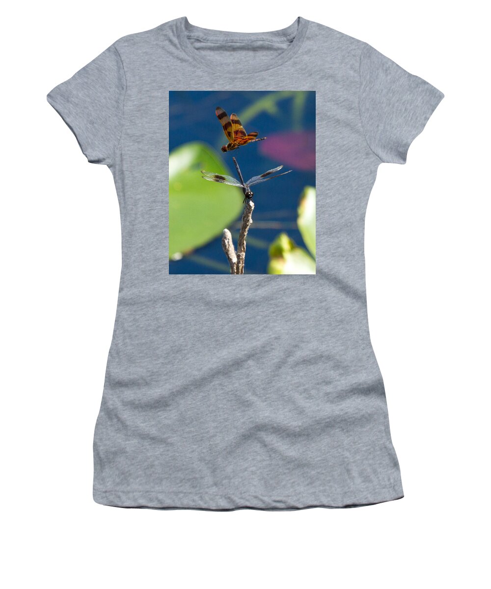 Dragon Fly Women's T-Shirt featuring the photograph Dragon Fly 195 by Michael Fryd