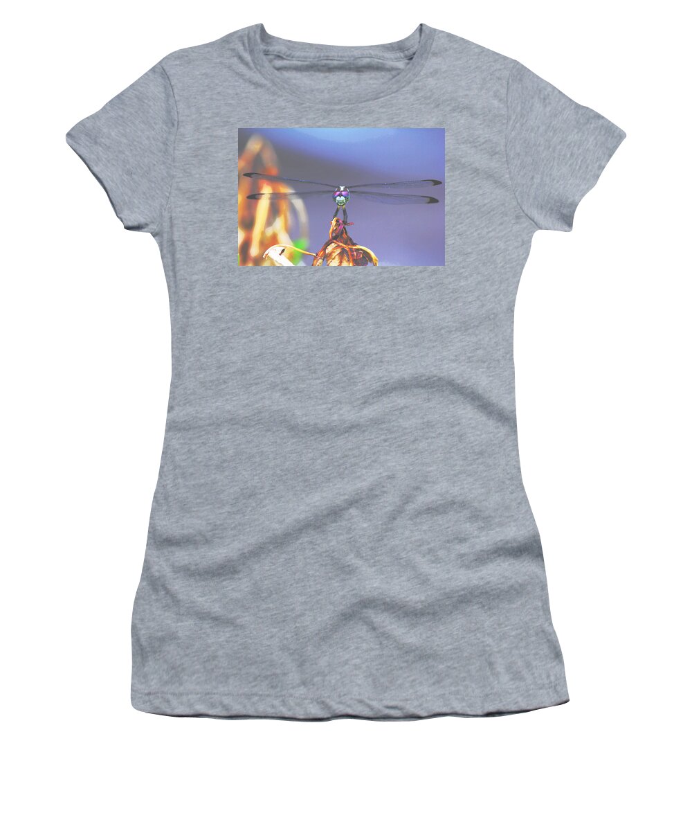 Dragonfly Women's T-Shirt featuring the photograph Dragonfly 1 by Alicia Zimmerman