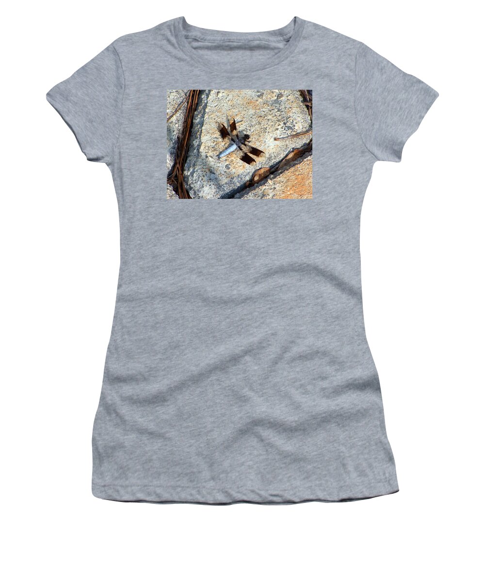 Insects Women's T-Shirt featuring the photograph Dragonfly Display by Jennifer Robin