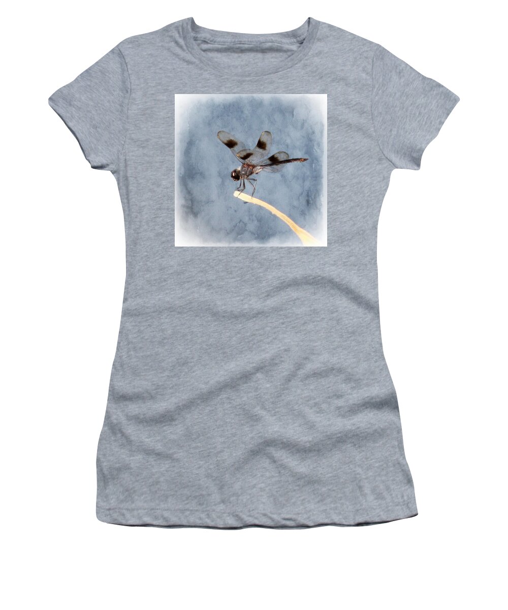 Dragonfly Women's T-Shirt featuring the painting Dragonfly On Edge by Barbara Chichester