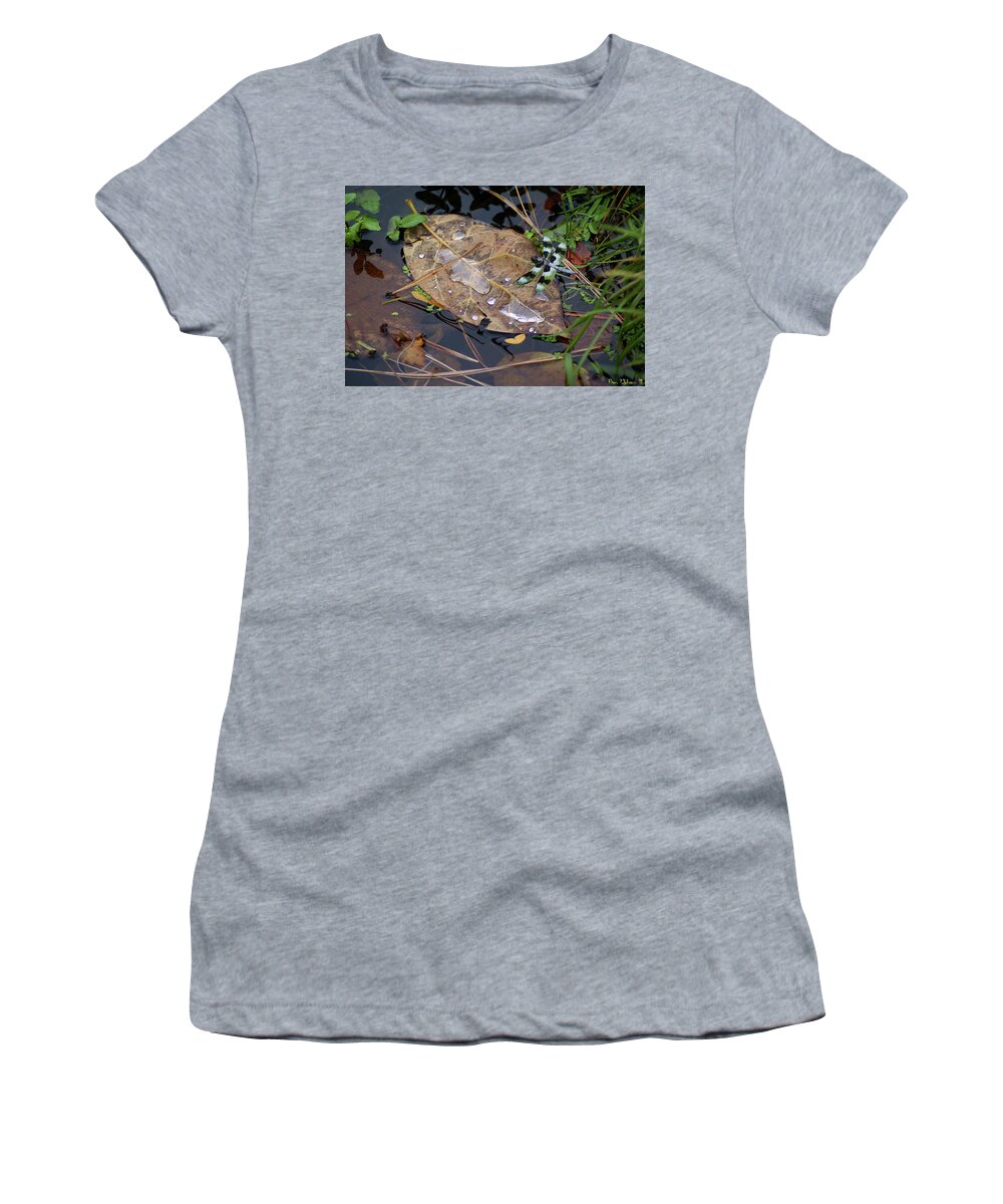 Nature Women's T-Shirt featuring the photograph Dragonfly on Leaf in Creek by Ben Upham III