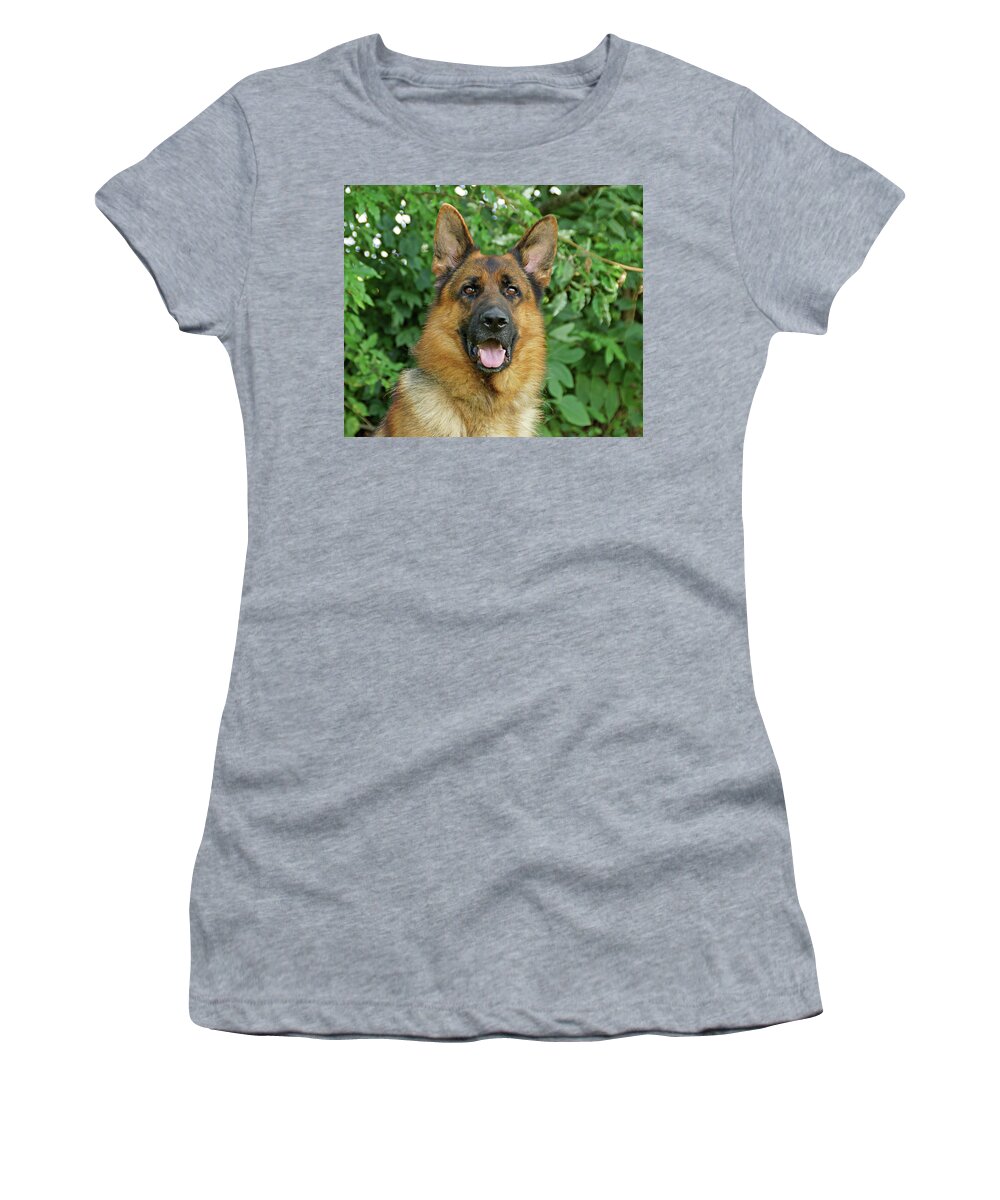 German Shepherd Women's T-Shirt featuring the photograph Drake by Sandy Keeton