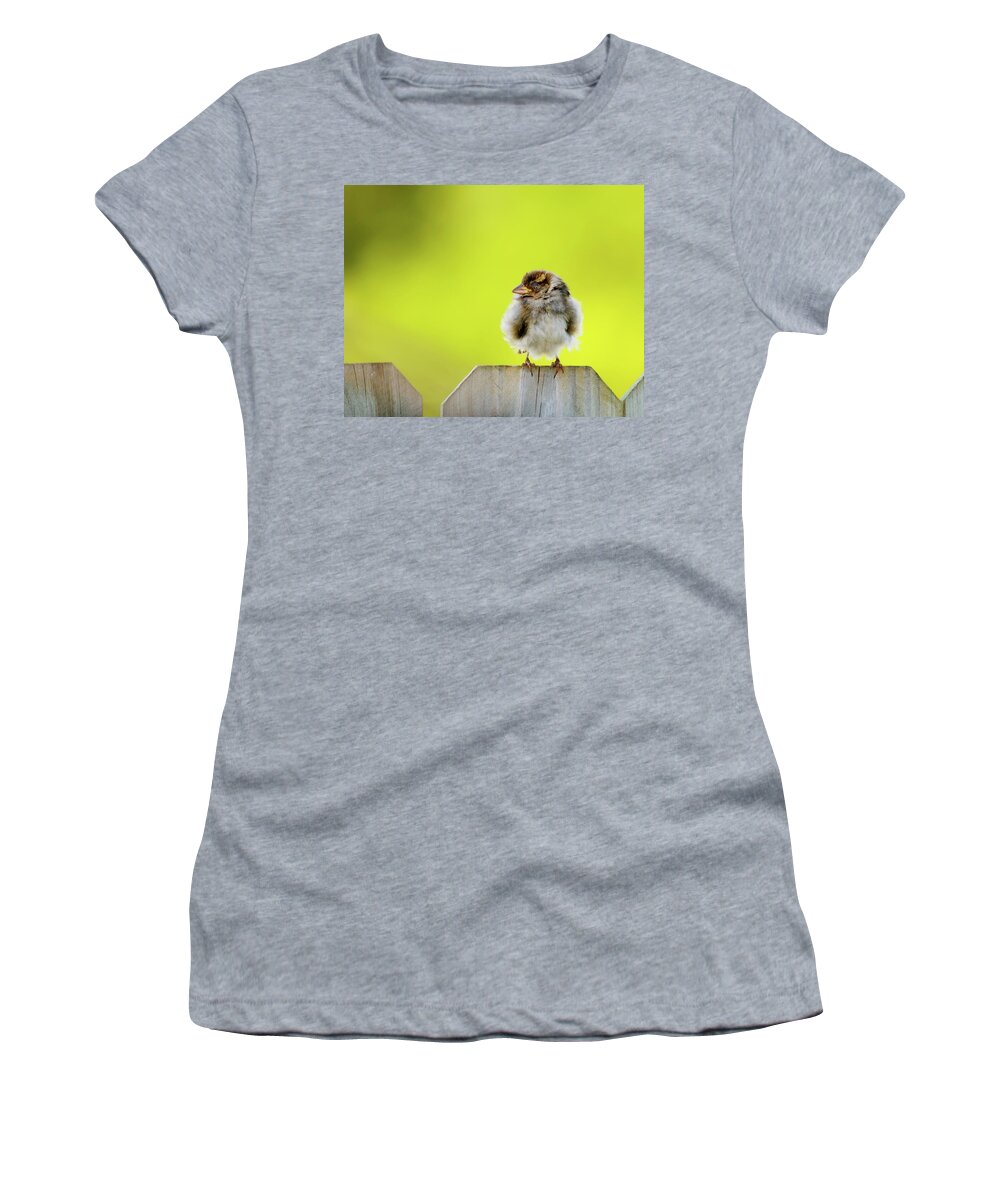 Sparrow Women's T-Shirt featuring the photograph Dream Sparrow by Betty LaRue