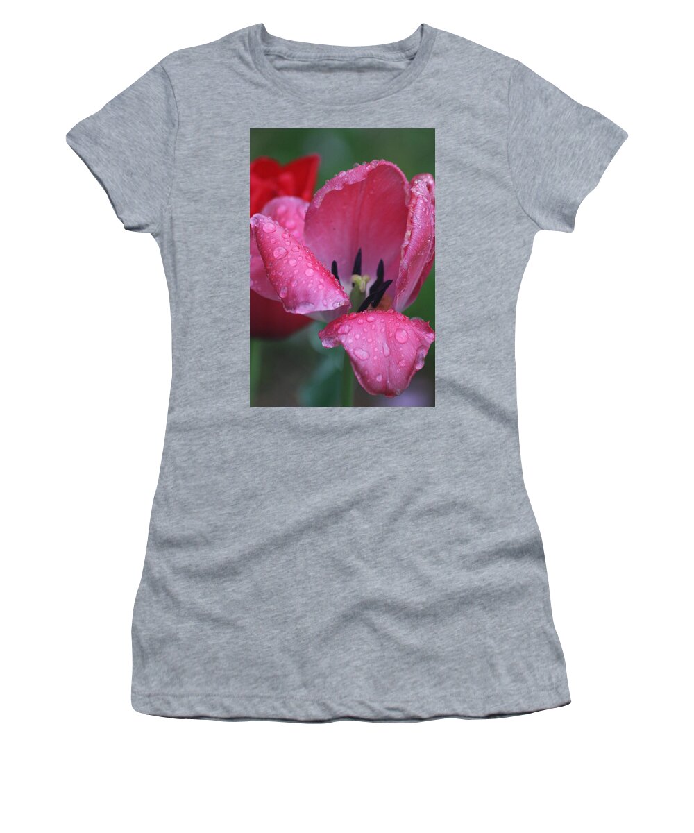 Tulip Women's T-Shirt featuring the photograph Drops of Spring by Vadim Levin