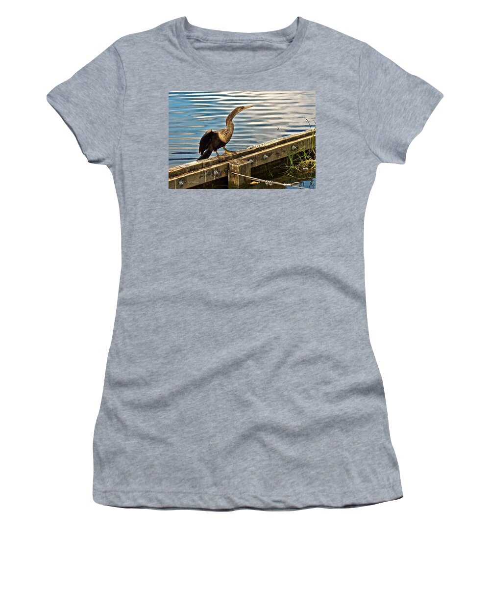 Anhinga Women's T-Shirt featuring the photograph Drying Out by Christopher Holmes