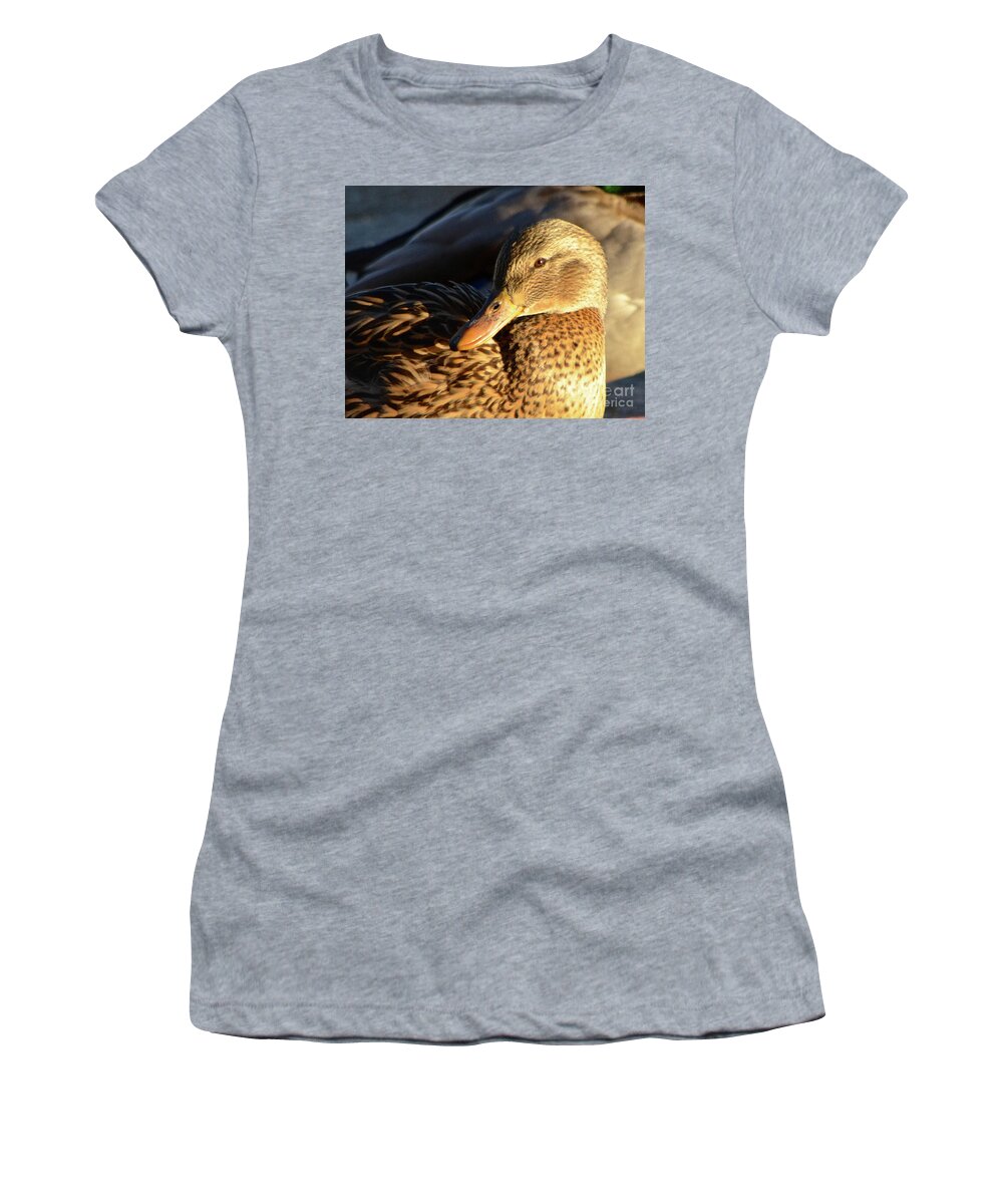  Women's T-Shirt featuring the photograph Duck Sunbathing by Cindy Schneider