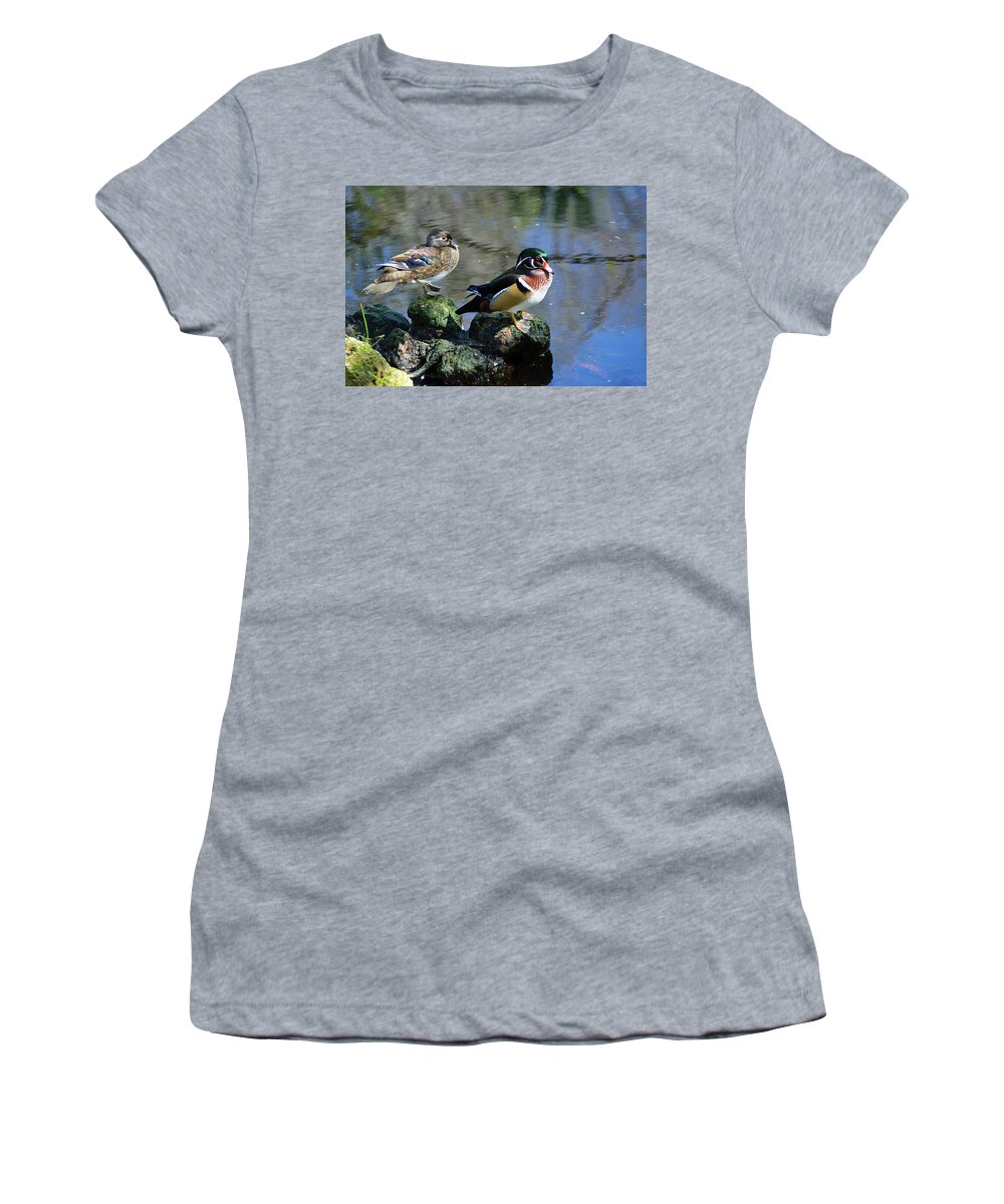 Duck Women's T-Shirt featuring the photograph Ducks on Rocks by Aimee L Maher ALM GALLERY