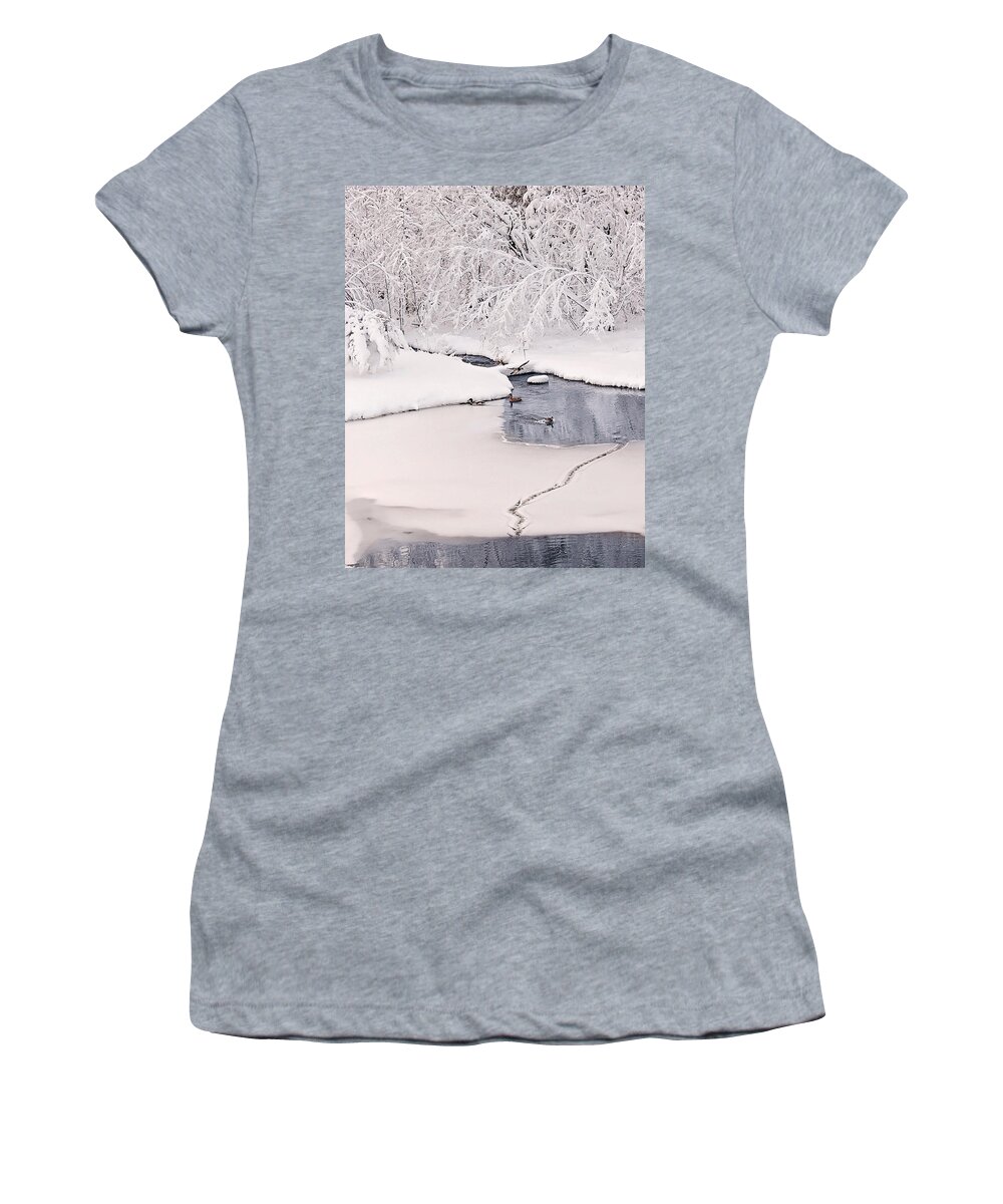 Ducks In The Winter Print Women's T-Shirt featuring the photograph Ducks Winter Play land Print by Gwen Gibson