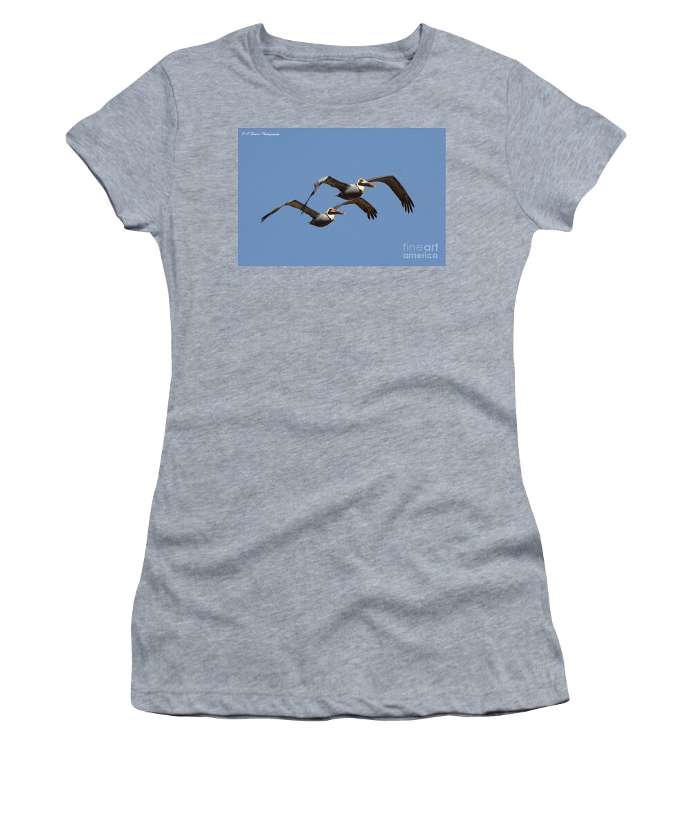 Brown Pelican Women's T-Shirt featuring the photograph Duel Pelicans in flight by Barbara Bowen