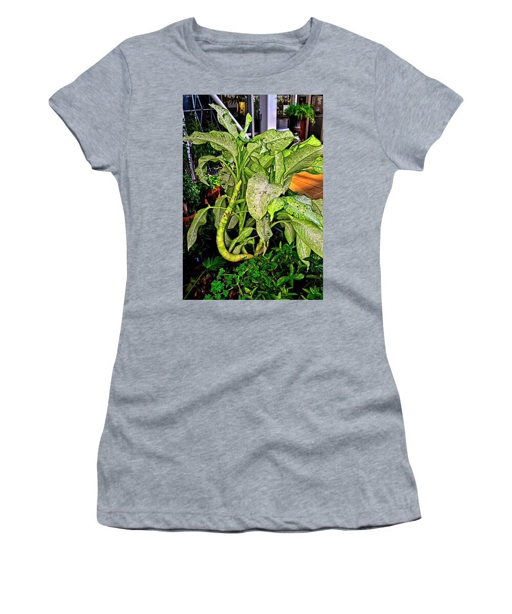 Plant Women's T-Shirt featuring the photograph Dumb Cane 001 by George Bostian