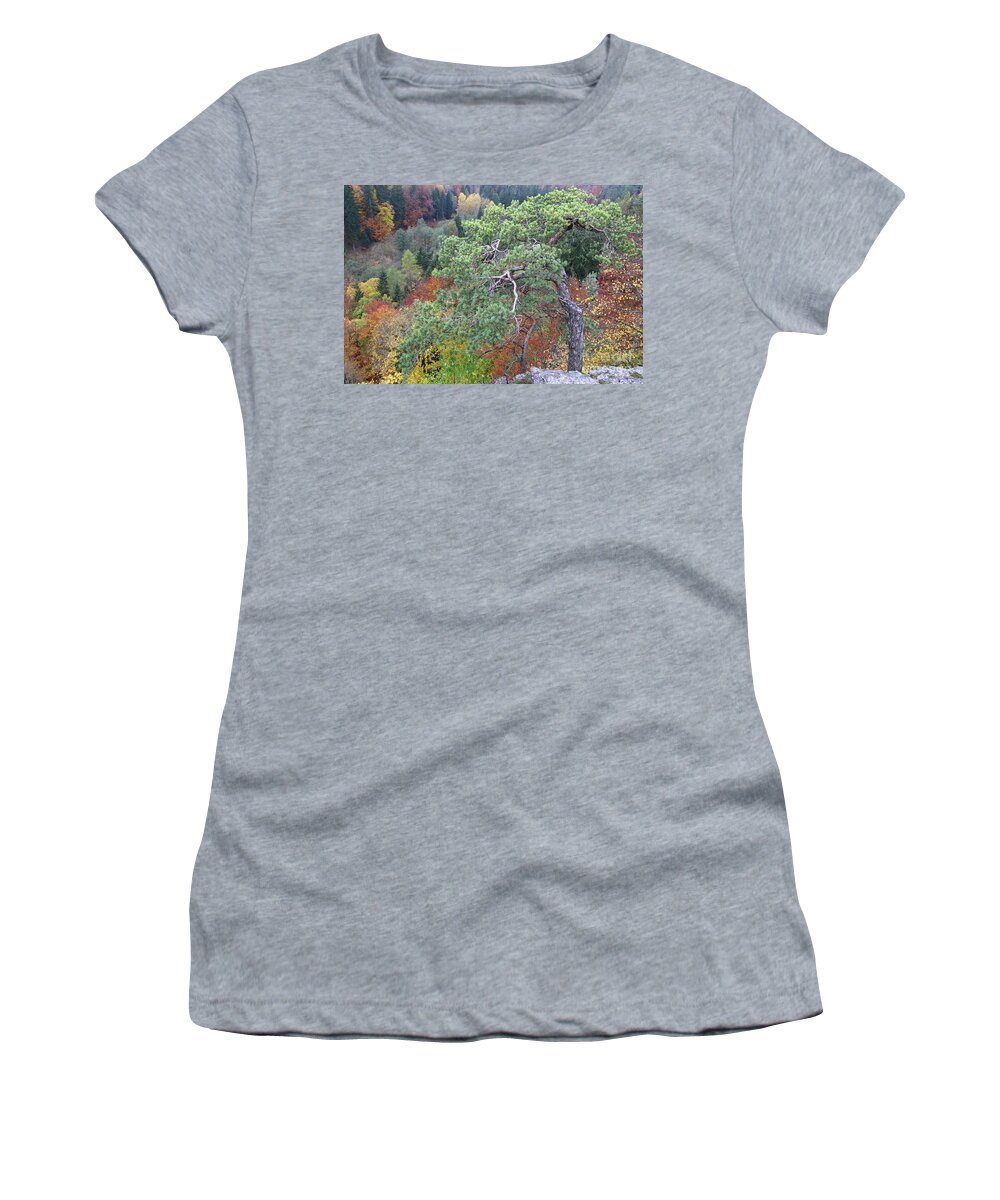 Pine Women's T-Shirt featuring the photograph Dwarf pine trees over the autumn forest by Michal Boubin