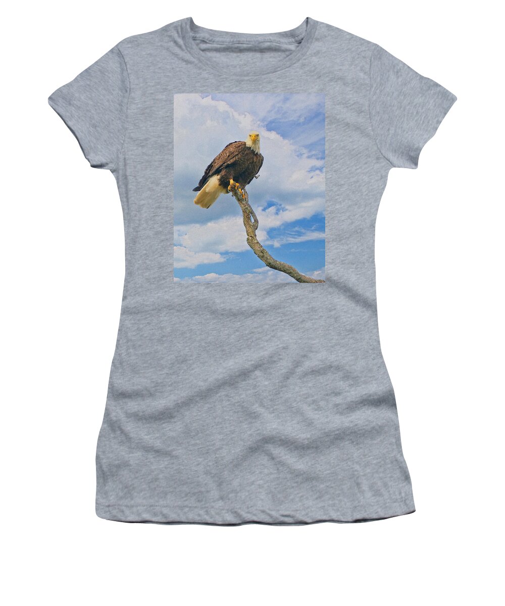 Eagle Women's T-Shirt featuring the photograph Eagle Eyes by William Jobes