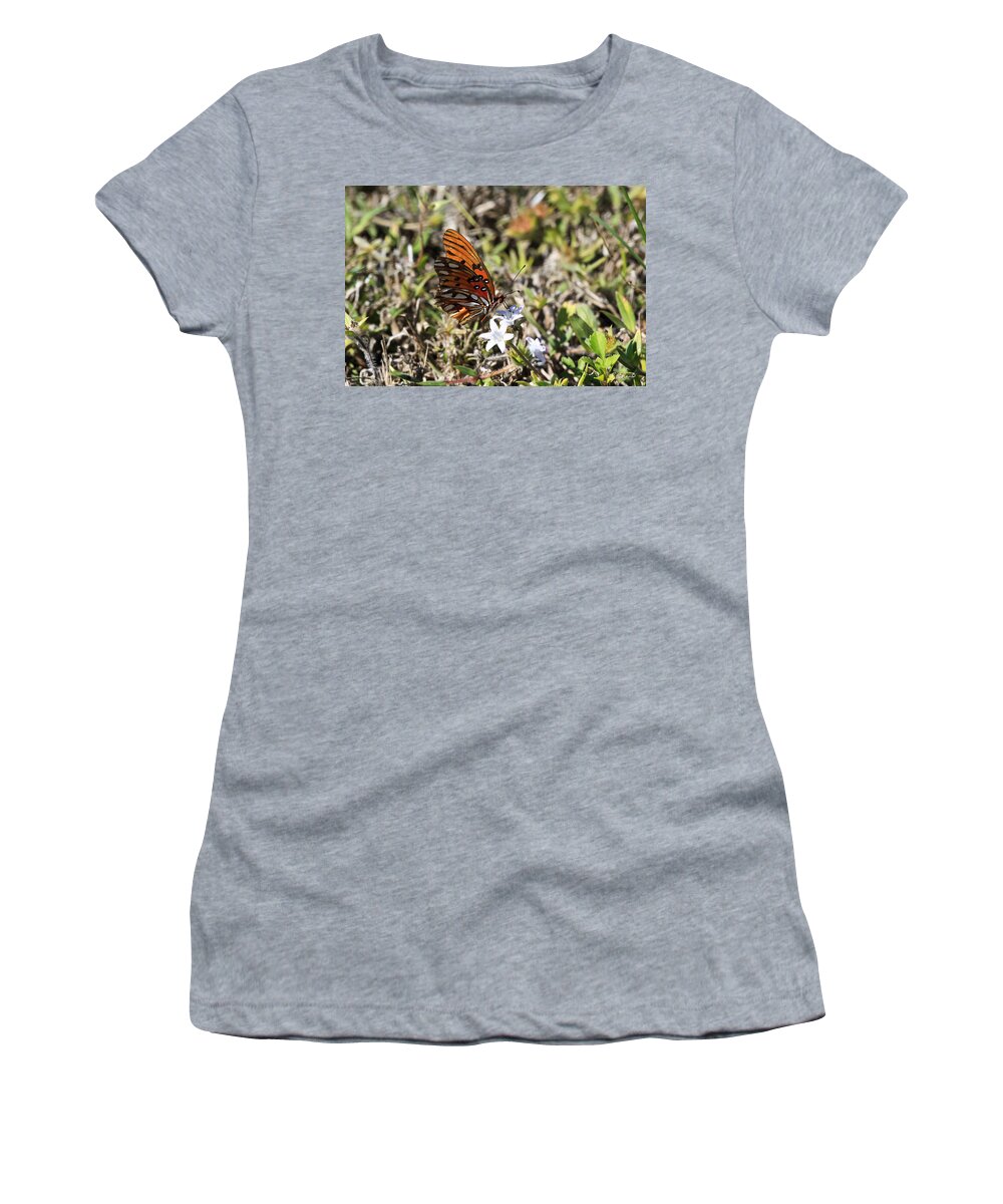 Florida Women's T-Shirt featuring the photograph Eagle Lakes Park - Gulf Fritillary Passion Butterfly by Ronald Reid