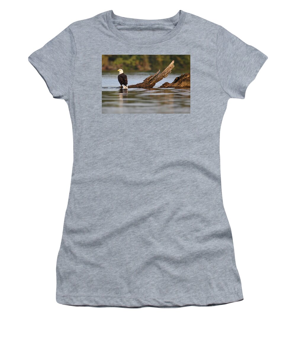  Women's T-Shirt featuring the photograph Eagle On Stump by Brook Burling