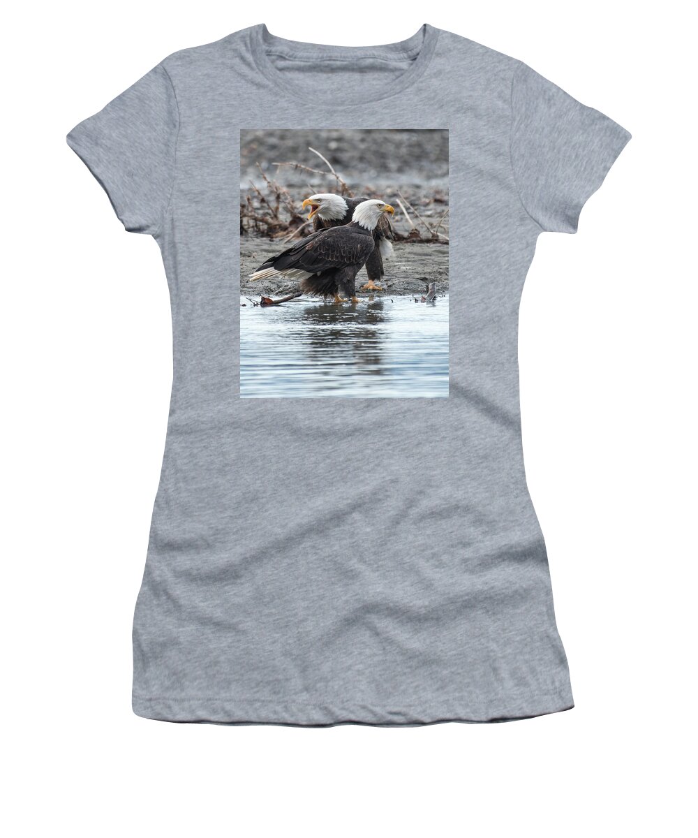 Bald Eagle Women's T-Shirt featuring the photograph Eagle Pair by David Kirby