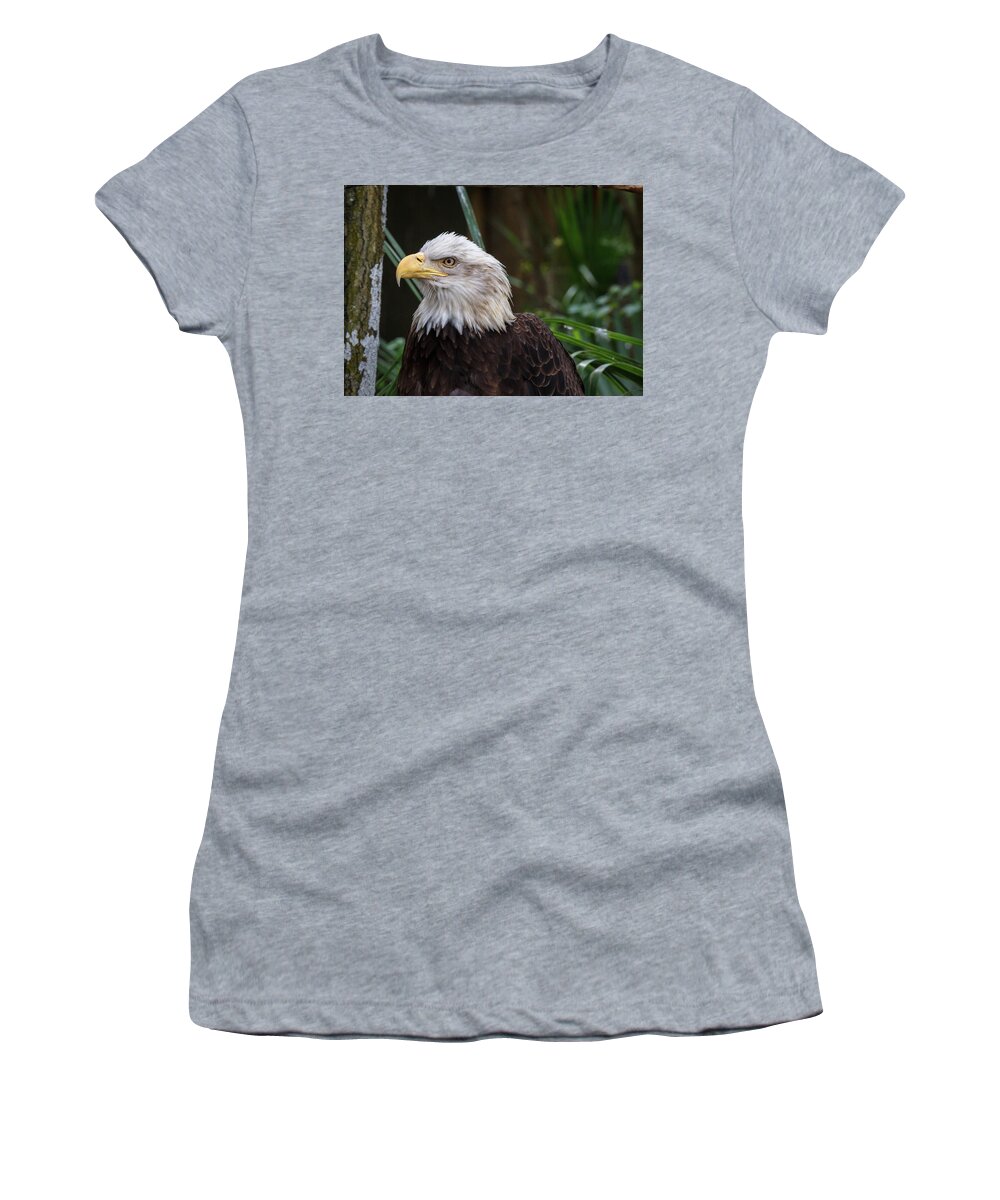 Eagle Women's T-Shirt featuring the photograph Eagle Portrait by Les Greenwood