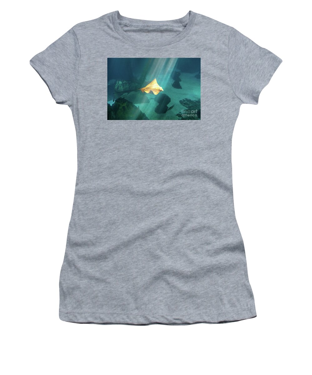 Underwater Women's T-Shirt featuring the photograph Eagle Ray underwater by Benny Marty